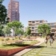 Gebiedsontwikkeling Almere Centrum - Krooder advies en management
